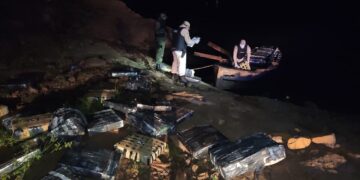 Incautan más de 1500 kilos de marihuana en Puerto Libertad