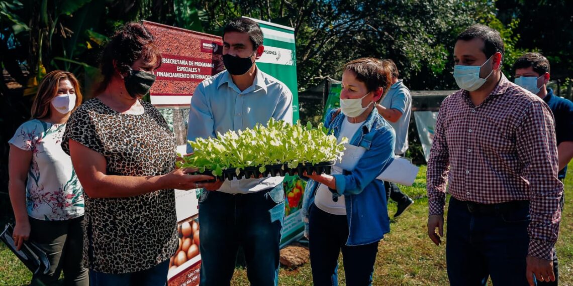 Productores de la zona norte recibieron plantines de la Biofábrica