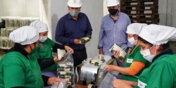 Ingenio de San Javier: continúa a buen ritmo la producción de azúcar rubio y la elaboración de alcohol