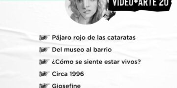 IAAviM: presentaron los seis proyectos ganadores de la convocatoria “Video+Arte 20”