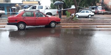Falleció un hombre que chocó su auto contra un árbol
