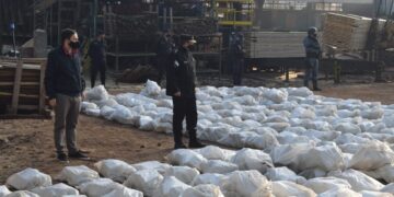 Quemaron más de 5 toneladas de marihuana incautada por la Policía de Misiones