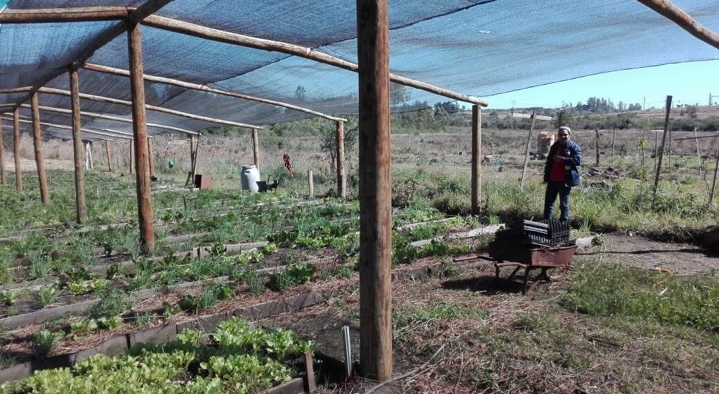 Con el fin de ampliar circuito comercial, el Municipio asesora a productores primarios