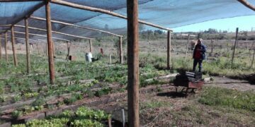 Con el fin de ampliar circuito comercial, el Municipio asesora a productores primarios