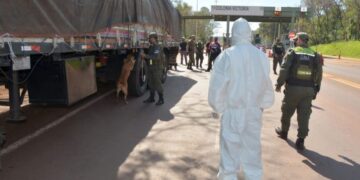 Camionero brasileño fue detenido con 760 kilos de marihuana