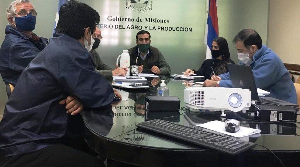 Avanzan proyectos para ampliar producción ovina y caprina