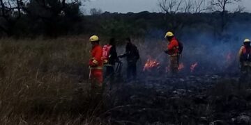 Proponen normas para protección de las áreas naturales y la fauna silvestre