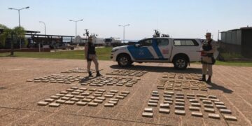 Incautan cargamento de casi 255 kilos de marihuana en Posadas
