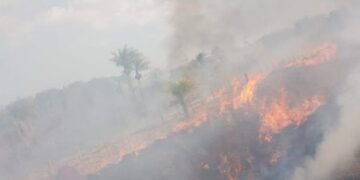 Cerca de seis hectáreas fueron consumidos por un incendio en Loreto