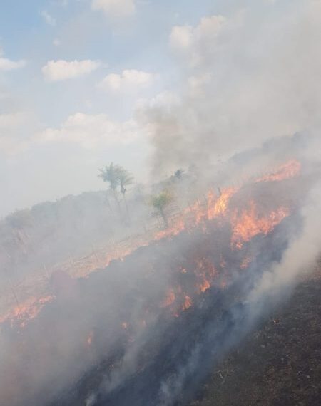 Cerca de seis hectáreas fueron consumidos por un incendio en Loreto