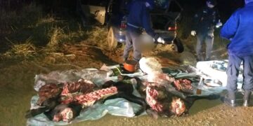 Detuvieron a dos hombres armados, incautaron carne faenada e investigan abigeato