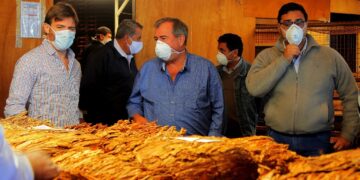 El viernes pagan compensación a productores tabacaleros
