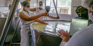 Quesos misioneros, una industria que agrega valor en origen