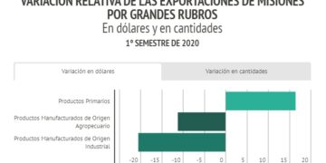 En el primer semestre del año, Misiones exportó por casi 188 millones de dólares
