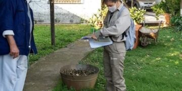 Interbrote: Continúa plan sanitario para controlar el mosquito del dengue