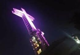 Cáncer de mama: instituciones públicas y monumentos serán iluminados de color rosa durante octubre