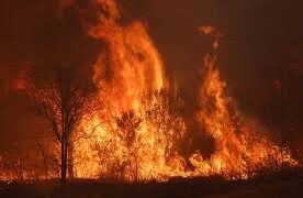 Incendios en Córdoba: se multiplicaron los focos en una jornada complicada para los bomberos