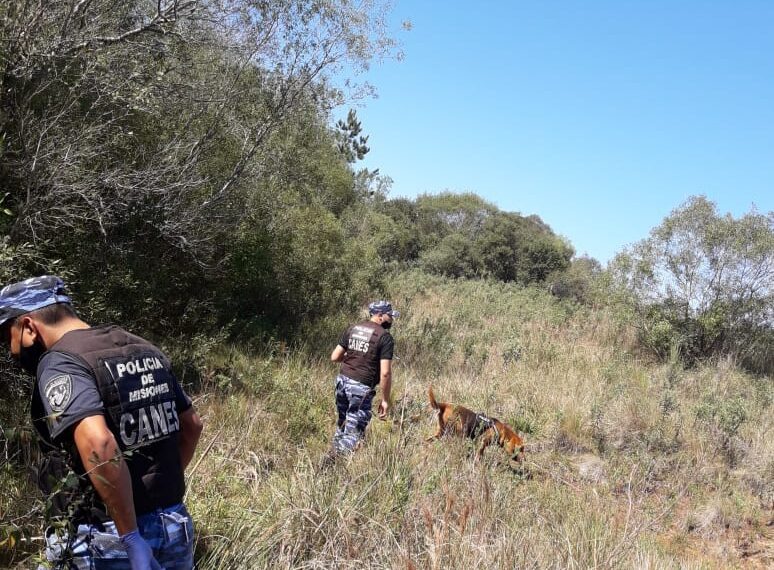 Continúa la búsqueda de Cesar Tizato en San José