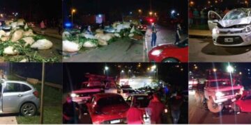 Un camión cargado con raídos de yerba se quedó sin frenos y destrozó varios vehículos