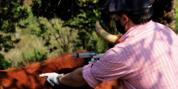 Arrancó la segunda campaña de vacunación contra la fiebre aftosa en Misiones