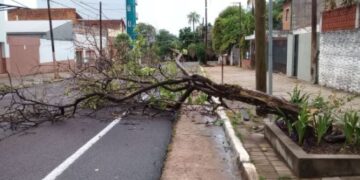 Posadas también sintió fuerte el temporal