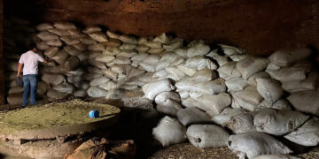 El INYM intervino alrededor de 90 toneladas de palo de yerba en dos procedimientos