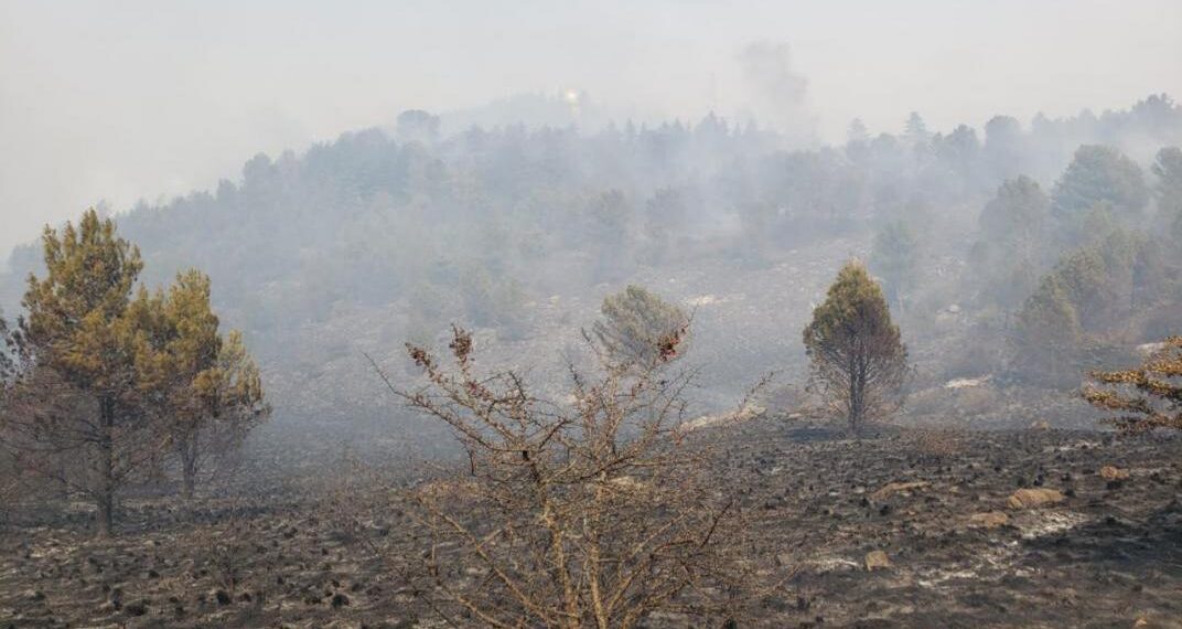Alivio en Córdoba: llovió después de seis meses y se pronostican más precipitaciones