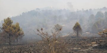 Alivio en Córdoba: llovió después de seis meses y se pronostican más precipitaciones