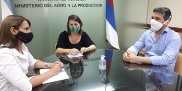 Ratifican vigencia de protocolo sanitario para el desarrollo de la zafra tealera