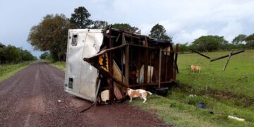 El temporal se sintió con fuerza en Corrientes