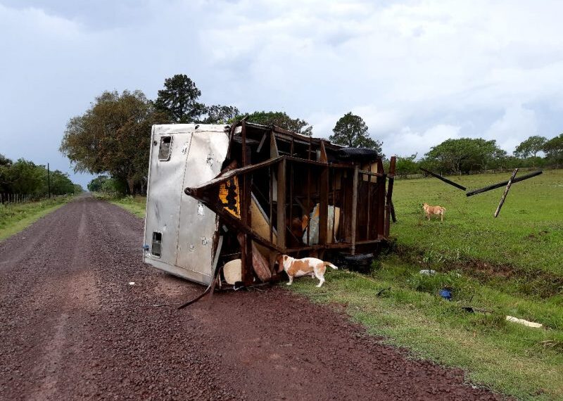 El temporal se sintió con fuerza en Corrientes