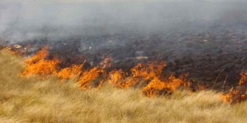 Por alerta de incendios, rige la prohibición del uso del fuego