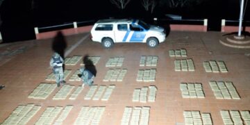 Candelaria: incautan marihuana valuada en más de 50 millones