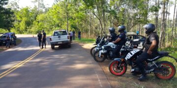 Operativo rural: elementos robados fueron recuperados y un camión con madera nativa secuestrado