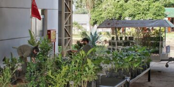 Misiones Siempre en Flor, una feria especial para agasajar a mamá