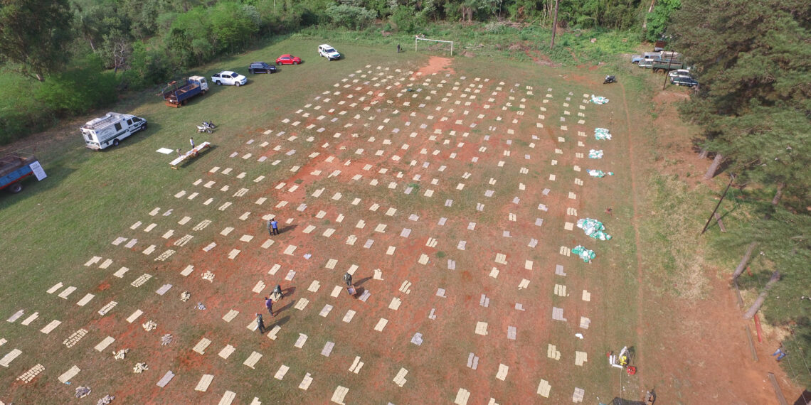 Cae organización familiar dedicada al narcotráfico e incautan cerca de 9 mil kilos de marihuana