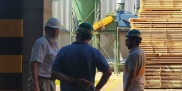 Impulsan iniciativa para promover la producción de muebles y objetos de madera misionera
