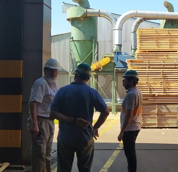 Impulsan iniciativa para promover la producción de muebles y objetos de madera misionera