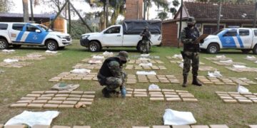 Incautan marihuana valuada en más de 170 millones de pesos