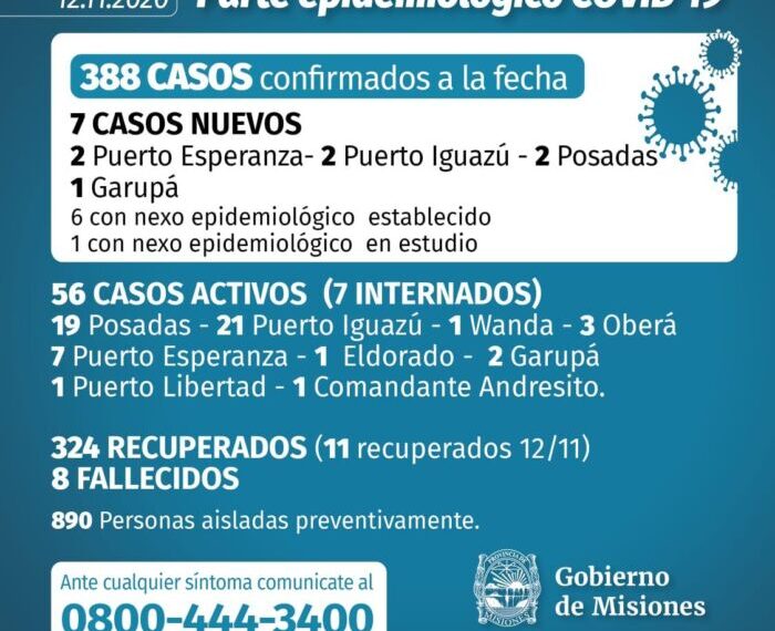 Misiones registró otros 7 casos positivos de coronavirus y el total de infectados asciende a 388