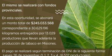 El próximo jueves pagarán a productores tabacaleros