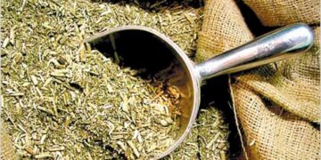 El Gobierno comenzará a regular la presencia de palo y polvo en la yerba mate