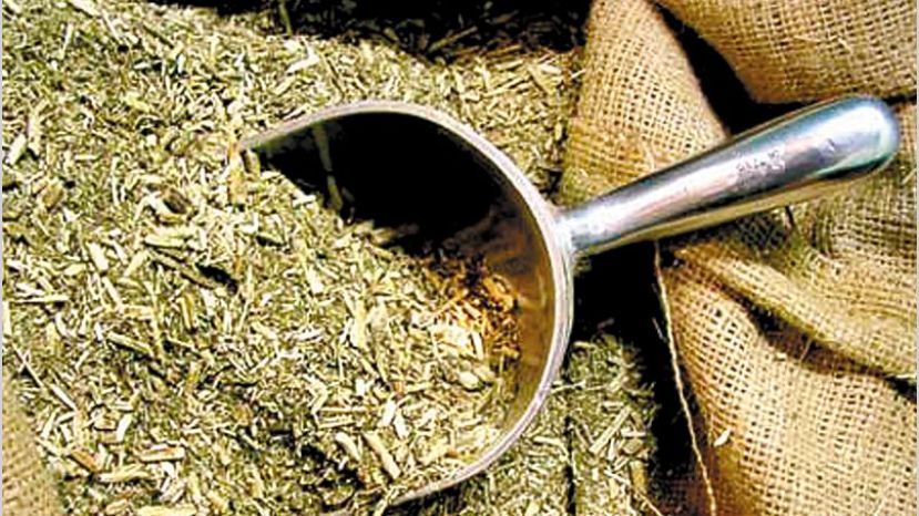 El Gobierno comenzará a regular la presencia de palo y polvo en la yerba mate