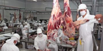China suspendió temporalmente a frigorífico argentino tras detectar coronavirus en empaque externo