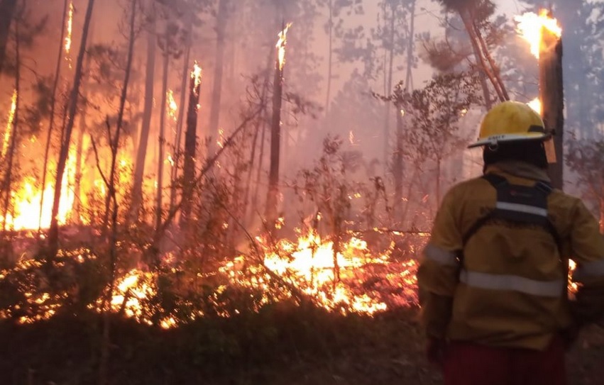 Voraz incendio consumió 75 hectáreas de la Reserva Yabotí
