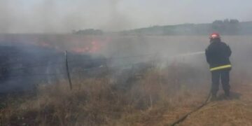 Incendio afectó unas 70 hectáreas de malezas y tacuaral en inmediaciones del Parque Industrial Posadas