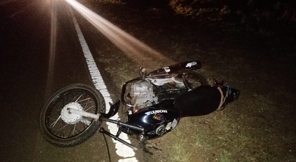 Un motociclista falleció tras impactar con un animal vacuno