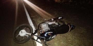 Un motociclista falleció tras impactar con un animal vacuno