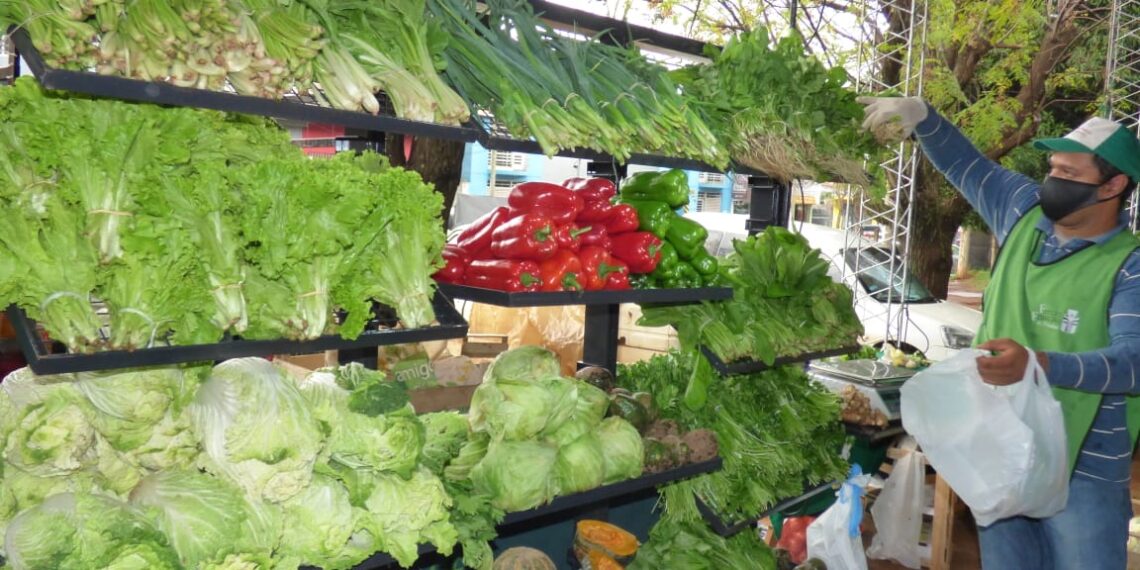 Ferias Francas, desarrollo local de la mano de la economía popular