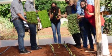 “Cinturón verde”: fortalecen la producción hortícola domiciliaria